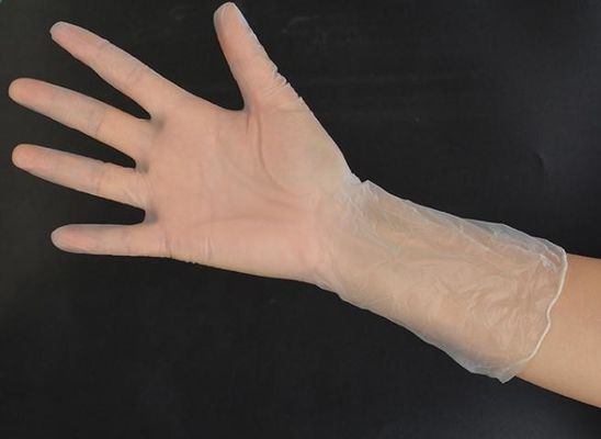 Disposable Vinyl Glove Large Size Store In A Cool Area Powder Free Clear Gloves Designed For Medical And Food Industry
